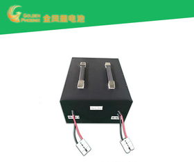 電動車電池批發(fā) 好品質(zhì)源于東莞強力 電動車電池代理